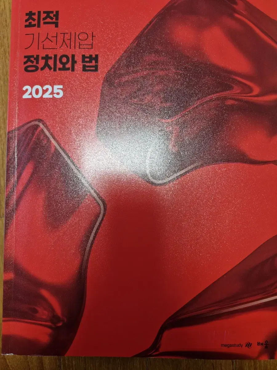 2025 최적 기선제압 정치와 법